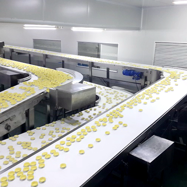 食品皮帶輸送線市場(chǎng)的啟發(fā)福來(lái)輪有什么不同的作用