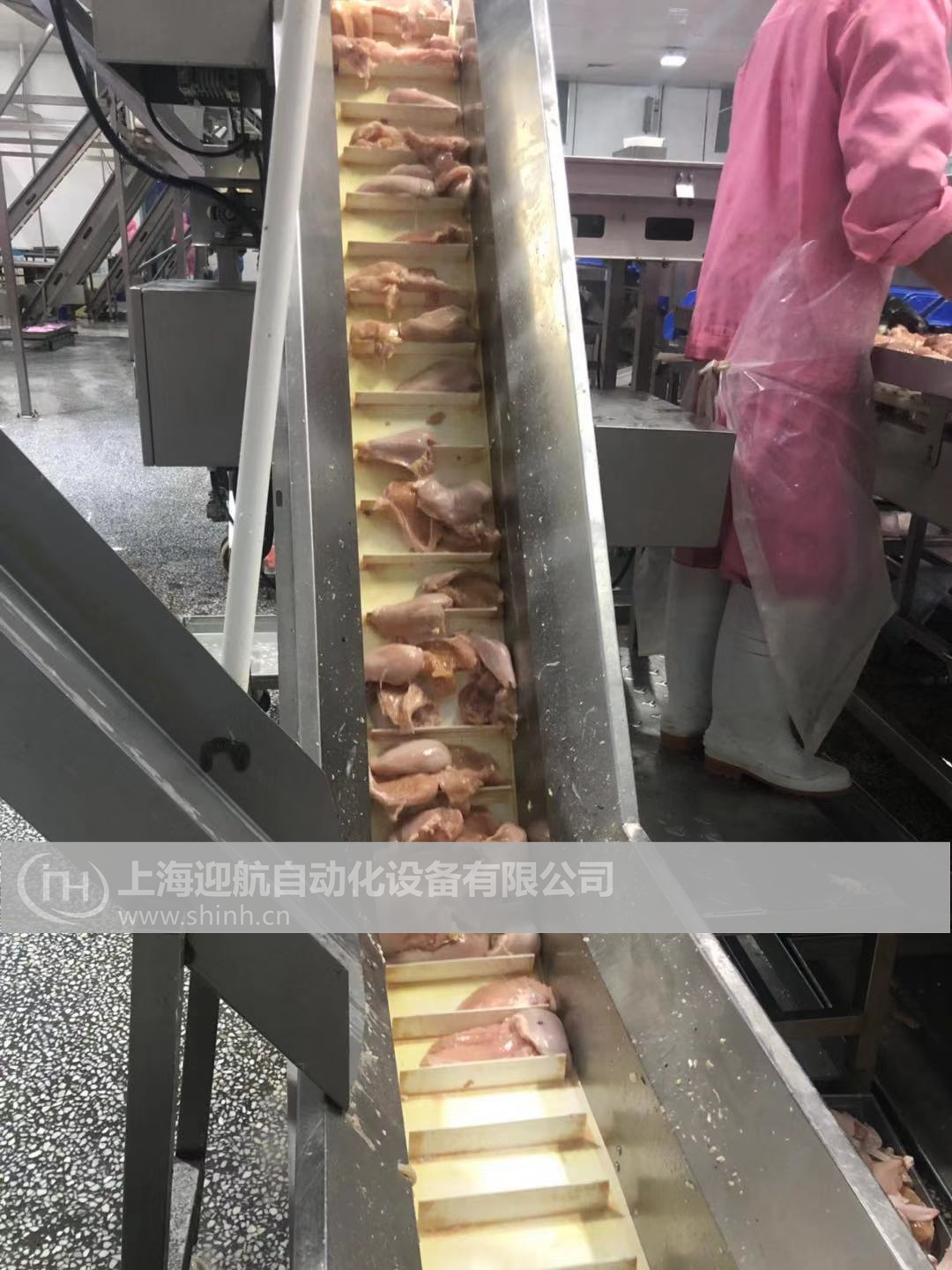 肉制品皮帶輸送機(jī)